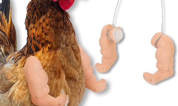 Discover What Where To Buy Chicken Arms Is
